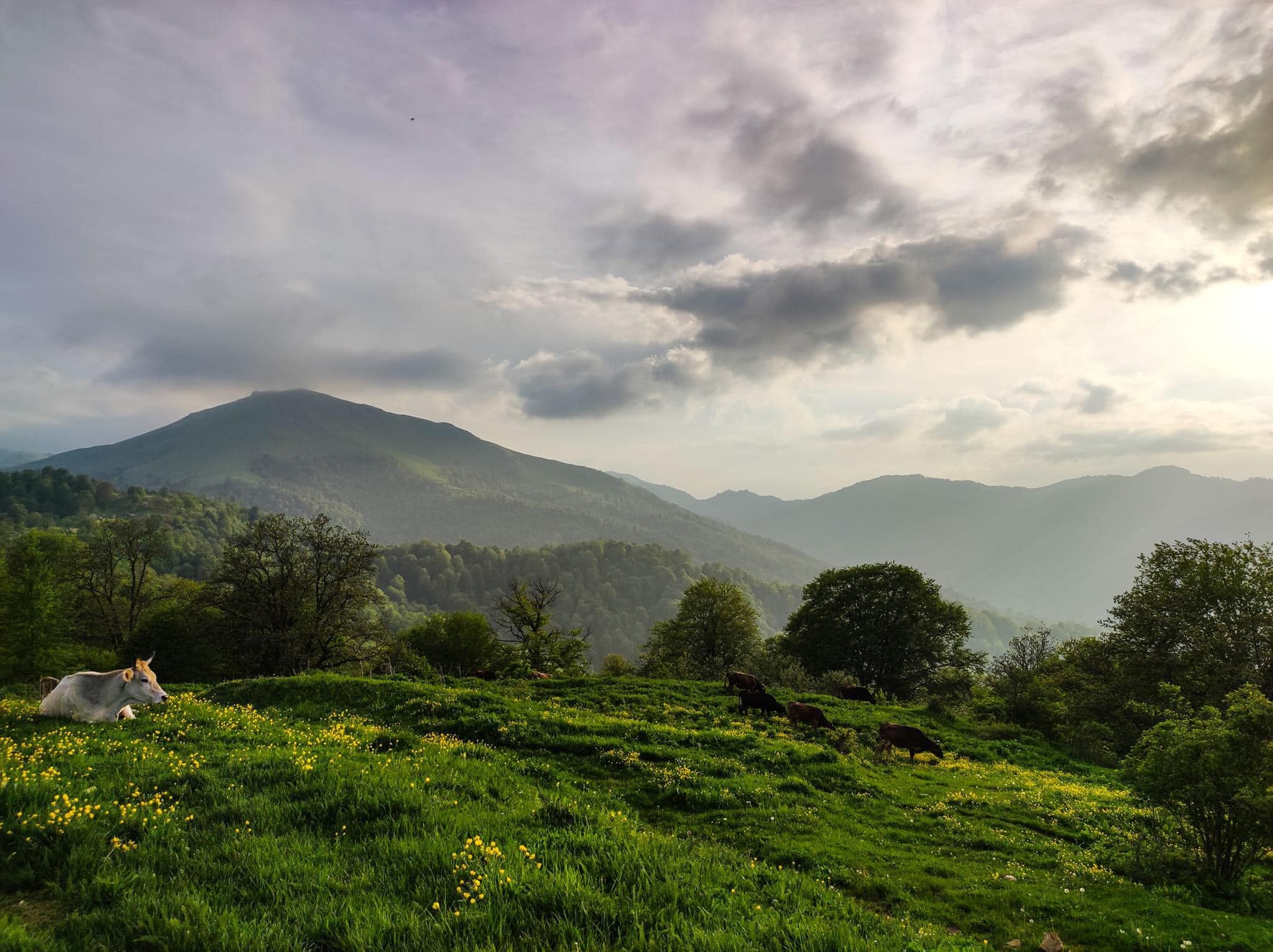 Գնահատելու, սիրելու, պահպանելու, տեր կանգնելու ժամանակը